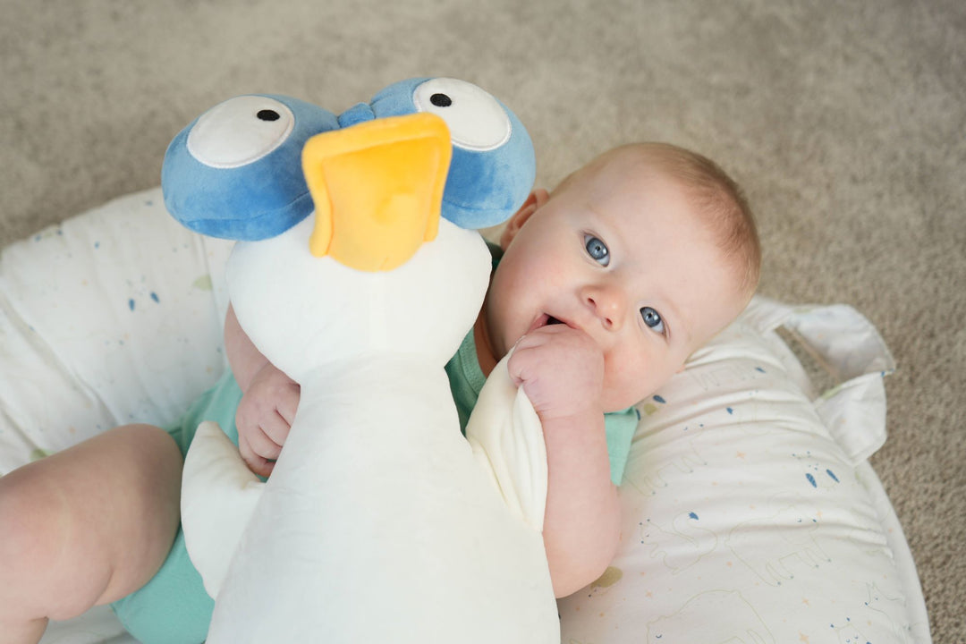 Baby enjoying snuggling and chewing on Waddles the Goose Plush