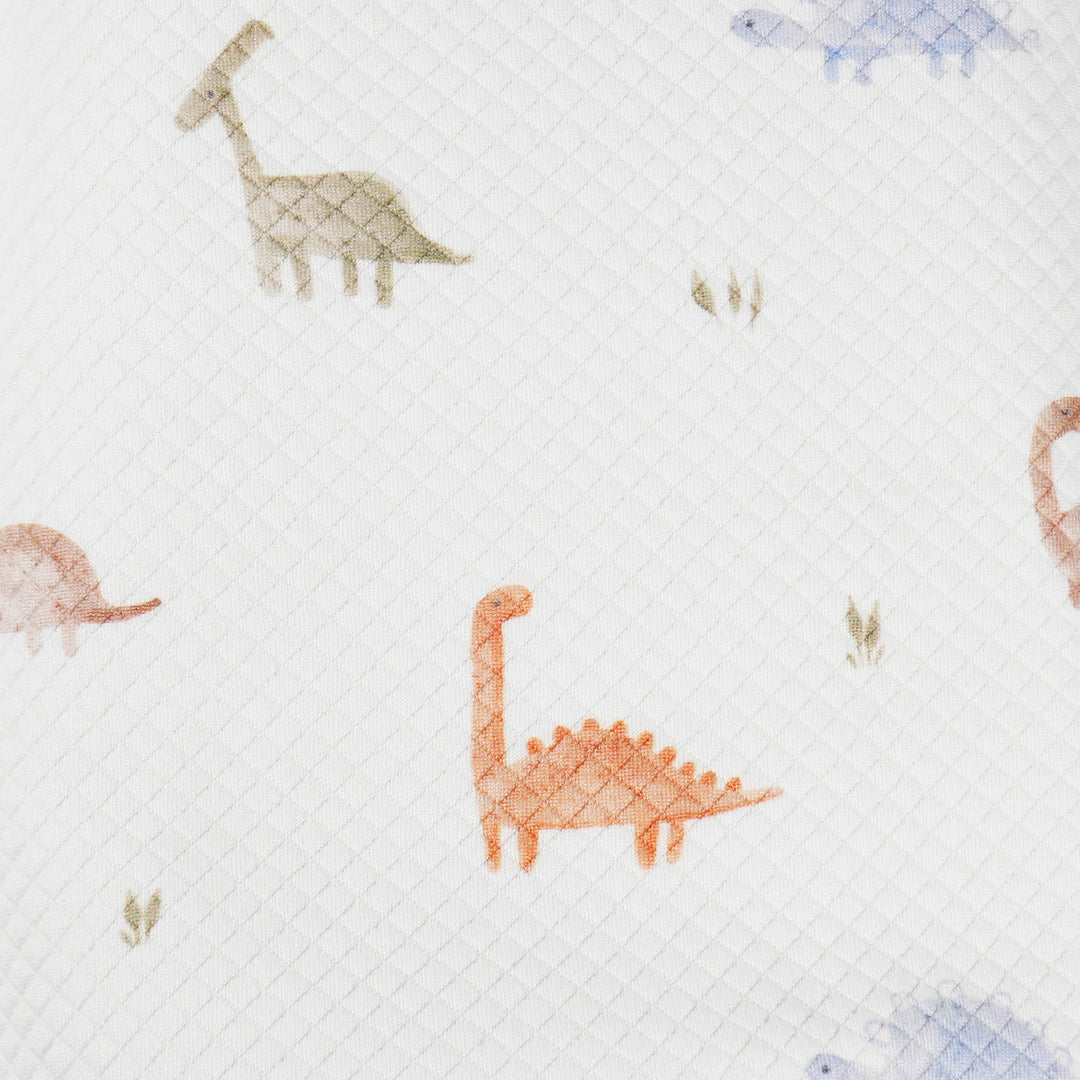 Dinosaur Pattern Printed Knit Blanket