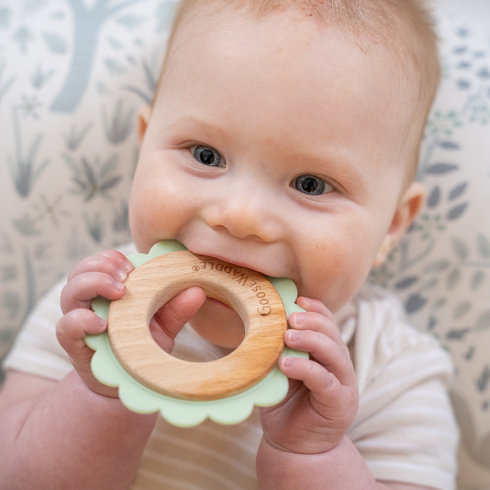 Alien Teether Lion Mint Animal Teether Wooden + Silicone - Goosewaddle® | Newborn ...