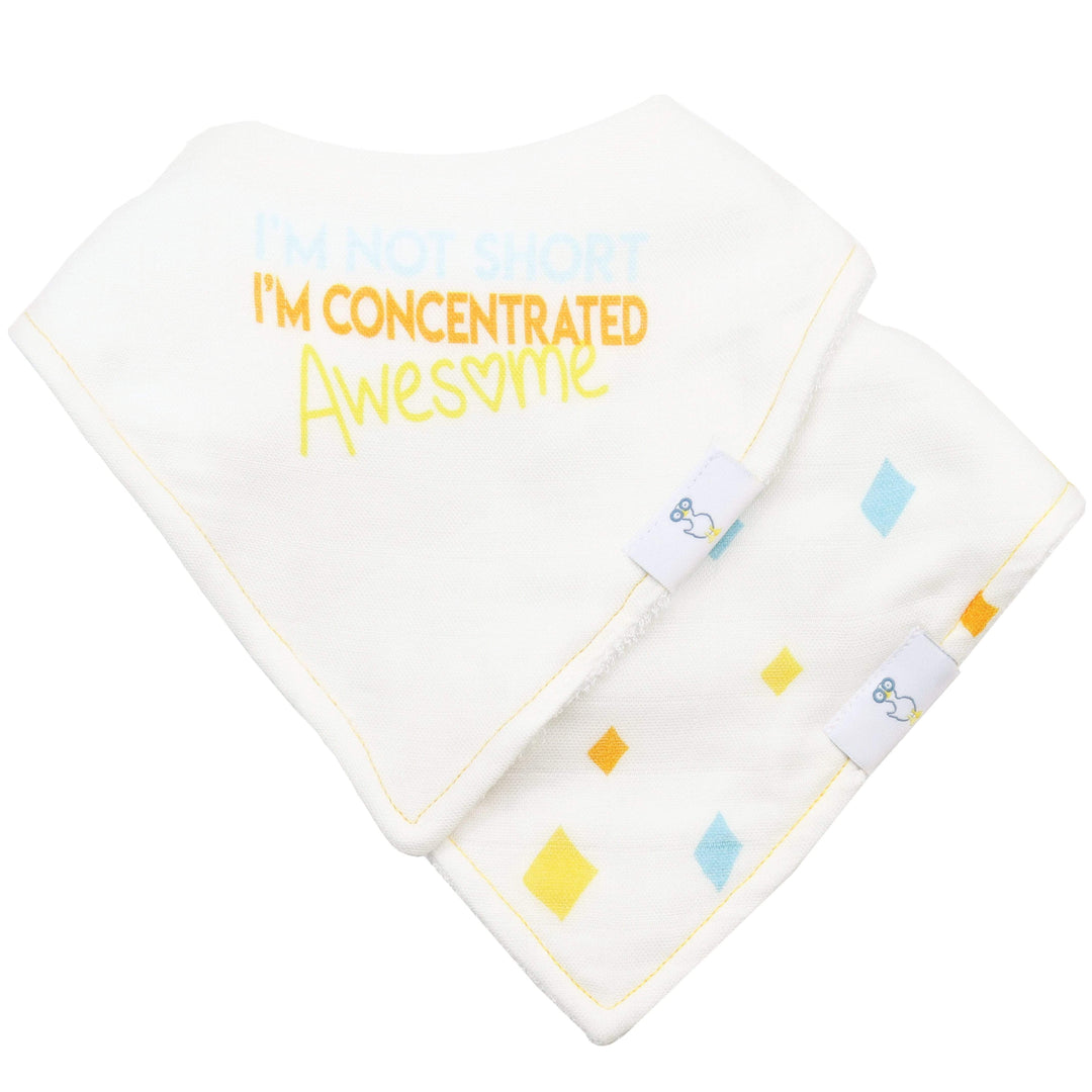 Goosewaddle 2 PK Muslin & Terry Cloth Bib Set Awesome/Diamonds