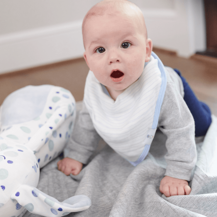 Goosewaddle 2 Pack Muslin & Terry Cloth Bib Set, Blue Popsicles and Stripes