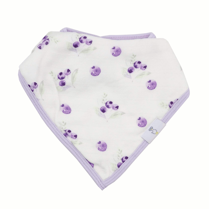 Goosewaddle 2 Pack Muslin & Terry Cloth Bib Set, Blueberries and Flowers