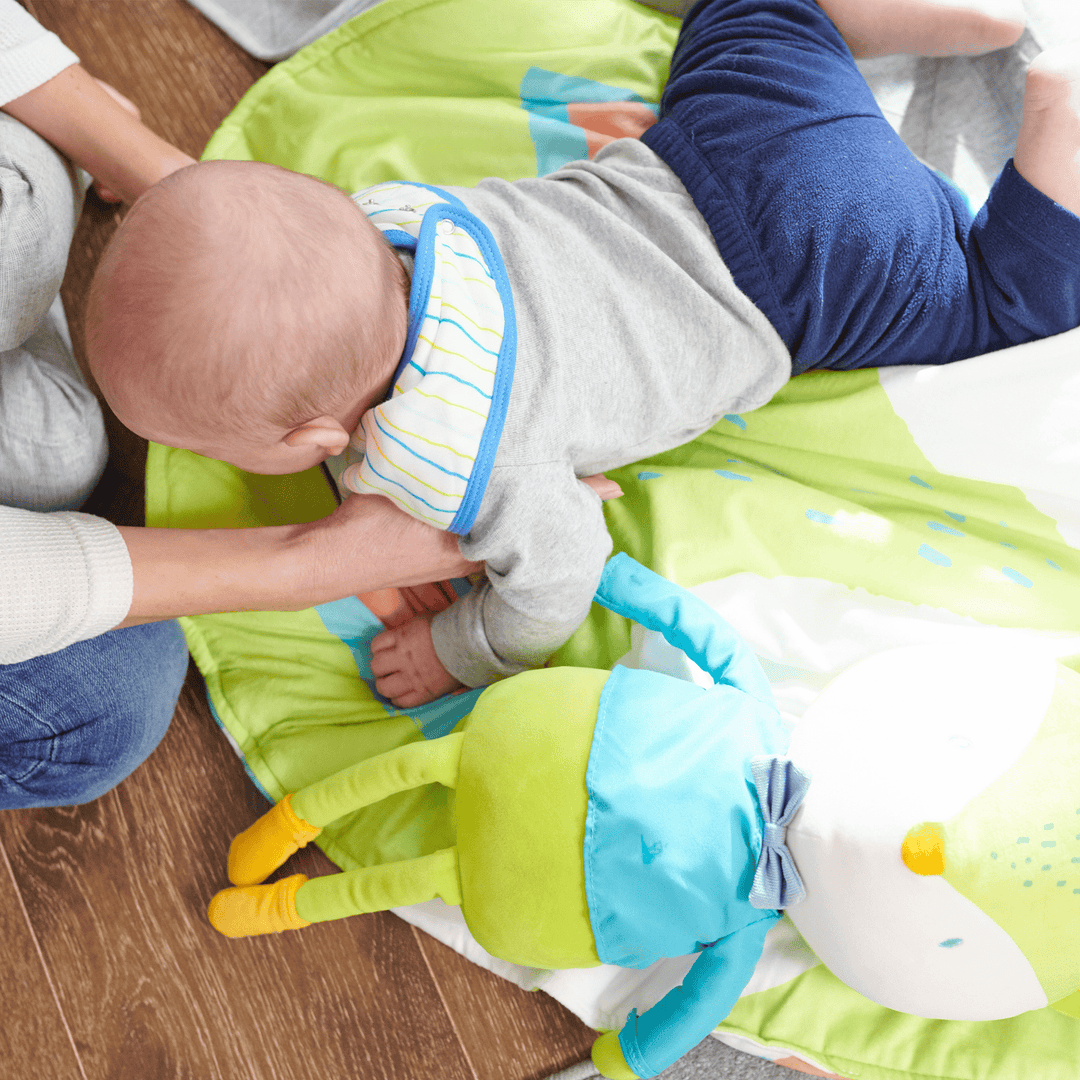 Goosewaddle Fox Stroller Blanket