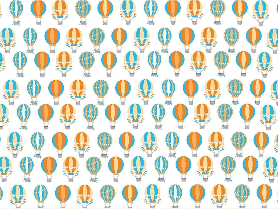 Hot Air Balloon Design on Blanket